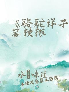 《骆驼祥子》内容梗概