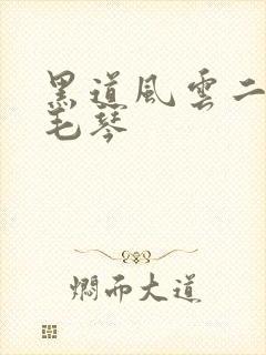 黑道风云二十年毛琴