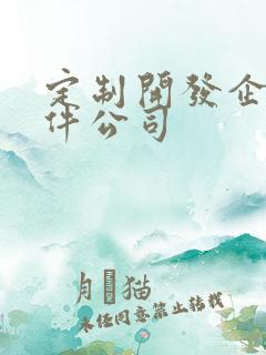 定制开发企业软件公司