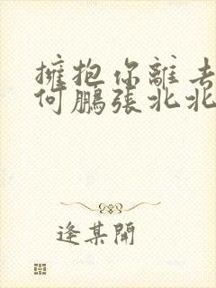 拥抱你离去dj何鹏张北北
