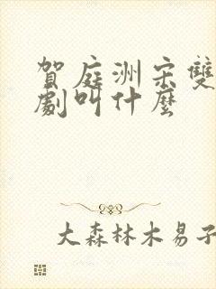 贺庭洲宋双旭短剧叫什么