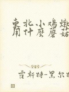 东北小鸡炖蘑菇用什么蘑菇
