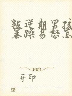 叛逆期男孩脾气暴躁易怒怎么办