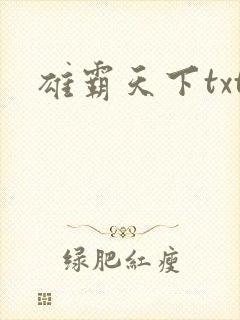 雄霸天下txt