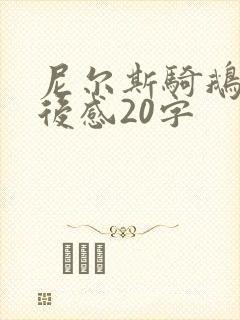 尼尔斯骑鹅记读后感20字