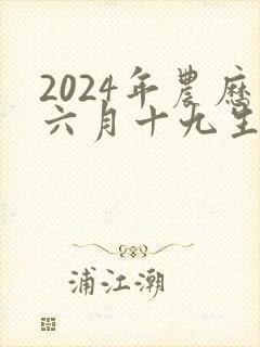 2024年农历六月十九生辰八字