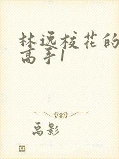 林逸校花的贴身高手1
