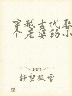 穿越古代娶了八个老婆的小说推荐