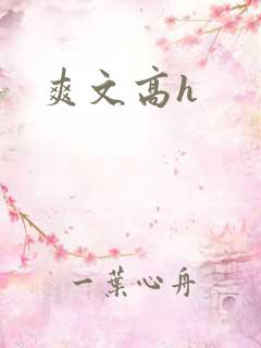 爽文高h