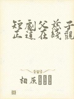短剧父慈子孝李正道在线观看免费