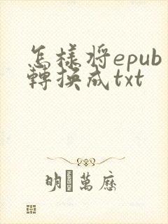 怎样将epub转换成txt