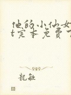 他的小仙女txt完本免费下载