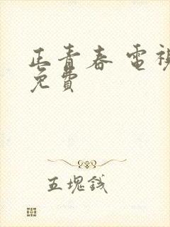 正青春 电视剧免费