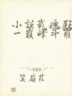小说武魂殿之第一巅峰斗罗