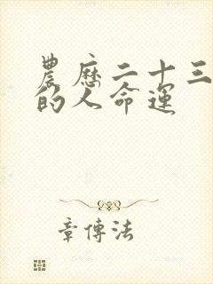 农历二十三出生的人命运