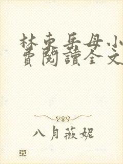 林东岳母小说免费阅读全文