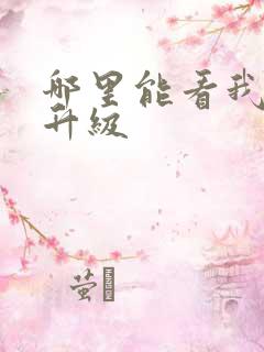 哪里能看我独自升级