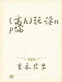 (高h)玩淫np伦