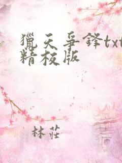 猎天争锋txt精校版