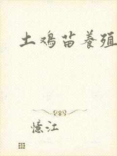 土鸡苗养殖场