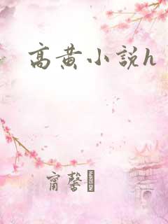 高黄小说h