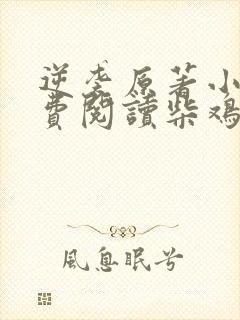 逆袭原著小说免费阅读柴鸡蛋