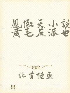 凤傲天小说里的黄毛反派也想要幸福