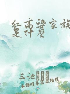 红高粱家族讲的是什么