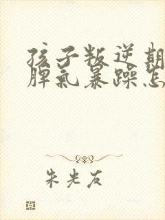 孩子叛逆期到了脾气暴躁怎么办