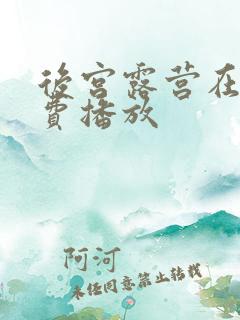 后宫露营在线免费播放