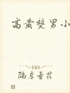 高黄双男小说