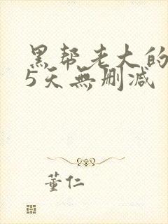 黑帮老大的365天无删减