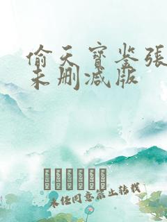 偷天宝鉴张绮桐未删减版