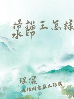 扫描王怎样去除水印
