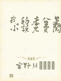 我的老公是大佬小说免费阅读