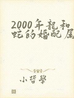 2000年龙和蛇的婚配属相好吗