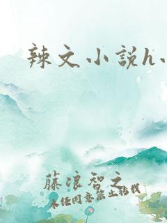 辣文小说h小说