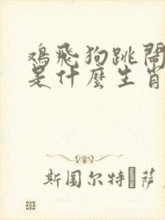 鸡飞狗跳闹翻天是什么生肖