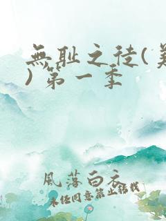 无耻之徒(美版) 第一季