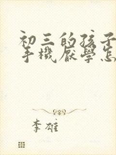 初三的孩子沉迷手机厌学怎么办
