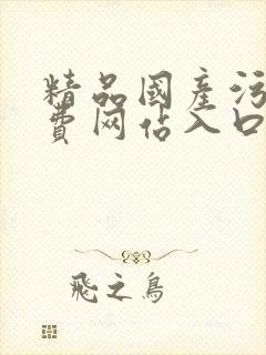 精品国产污污免费网站入口自