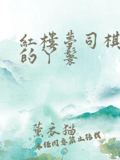 红楼梦司棋是谁的丫鬟