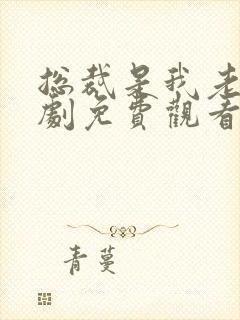 总裁是我老公短剧免费观看