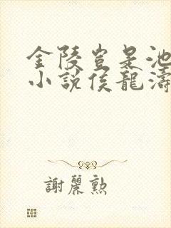 金陵岂是池中物小说侯龙涛