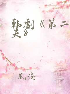 韩剧《第二任丈夫》