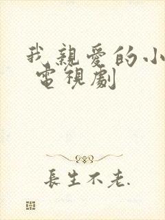 我亲爱的小冤家 电视剧