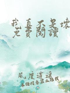 我真不是坏男人免费阅读