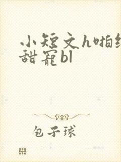 小短文h啪纯肉甜宠bl