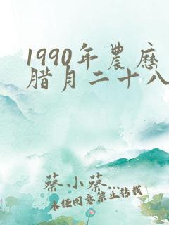 1990年农历腊月二十八出生的命运