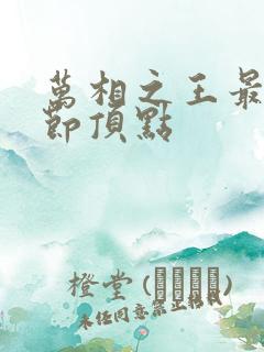 万相之王最新章节顶点